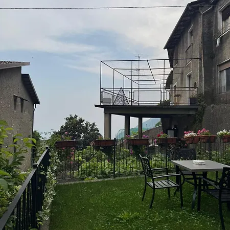 Rustico Cota * 提尼亚类
